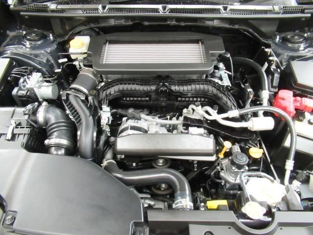 レヴォーグ レイバック リミテッドEX ナビTV クルーズコントロール AWD バックカメラ スマートキー 本革シート ETC メモリーナビ アルミホイール フルオートエアコン 地デジフルセグ 横滑り防止装置 盗難防止装置 1オーナー車(34枚目)