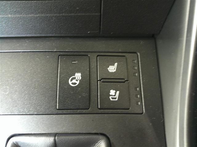 ＩＳ ＩＳ３００　Ｆスポーツ　バックＣ　横滑り防止装置　レザーシート　フルセグ　ＤＶＤ　ナビＴＶ　盗難防止装置　サンルーフ　メモリーナビ　パワーウィンドウ　ドラレコ　パワーシート　ＥＴＣ　スマートキー　エアバッグ　アルミ　エアコン（22枚目）