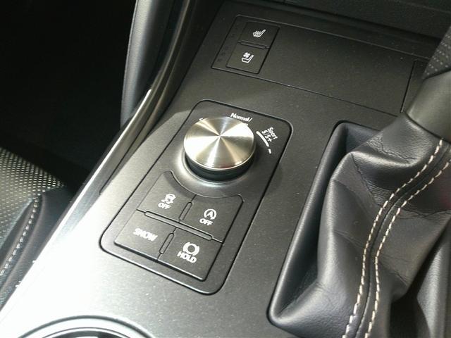 ＩＳ ＩＳ３００　Ｆスポーツ　バックＣ　横滑り防止装置　レザーシート　フルセグ　ＤＶＤ　ナビＴＶ　盗難防止装置　サンルーフ　メモリーナビ　パワーウィンドウ　ドラレコ　パワーシート　ＥＴＣ　スマートキー　エアバッグ　アルミ　エアコン（24枚目）