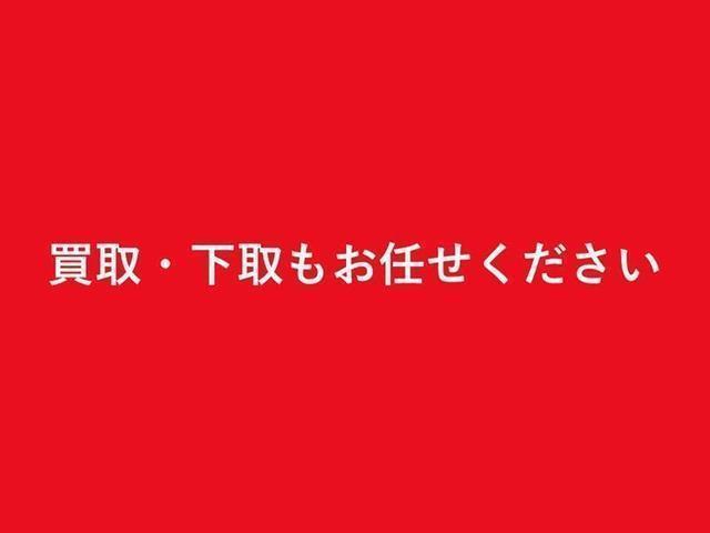 Ｘ　ＳＤナビ　ワンセグ　ＥＴＣ　ナノイー　キーレスエントリー　ワンオーナー(40枚目)