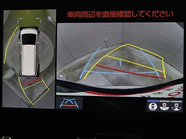 アルファードハイブリッド エグゼクティブラウンジＳ　革シート　サンルーフ　４ＷＤ　フルセグ　メモリーナビ　ＤＶＤ再生　ミュージックプレイヤー接続可　後席モニター　バックカメラ　衝突被害軽減システム　ＥＴＣ　ドラレコ　両側電動スライド　ＬＥＤヘッドランプ（32枚目）