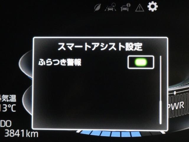 ライズ Z フルセグ メモリーナビ DVD再生 バックカメラ 衝突被害軽減システム ETC ドラレコ LEDヘッドランプ アイドリングストップ(17枚目)