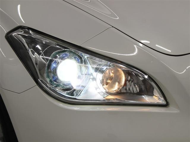 �t�����g���ł��B