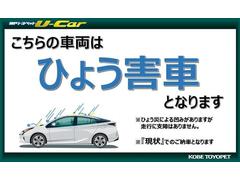 雹害車両です 3