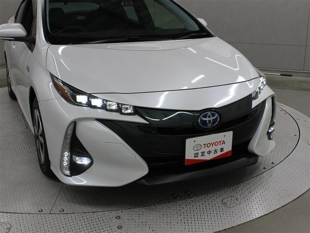 �t�����g���ł��B