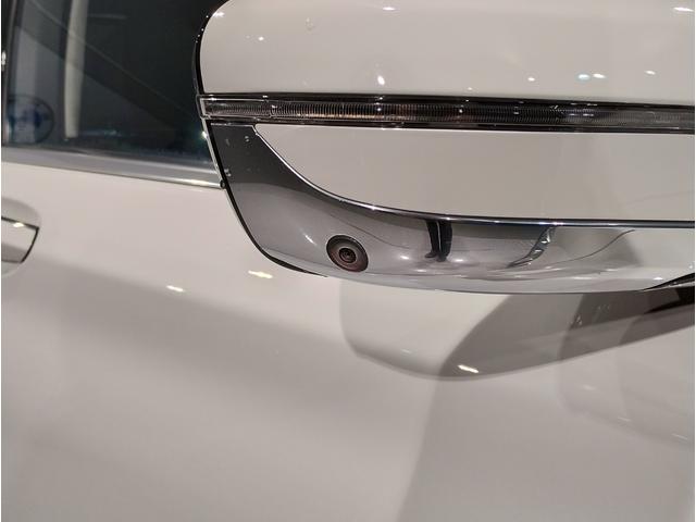 750Li エクセレンス 黒レザーシート 電動ガラスサンルーフ リアエンターテイメント ベンチレーションシート ヘッドアップディスプレイ レーザーライト ハーマンカードン アクティブクルーズコントロール リアスライドブラインド(39枚目)