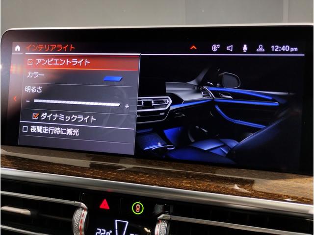 Ｘ３ ｘＤｒｉｖｅ　２０ｄ　Ｍスポーツ　１オーナー　セレクトパッケージ　サンルーフ　ステアリングヒーター　全周囲カメラ　電動リアゲート　電動シート　ブラックレザーシート　地デジ　純正ナビ　１９インチＡＷ　ウッドトリム　追従式クルコン（64枚目）