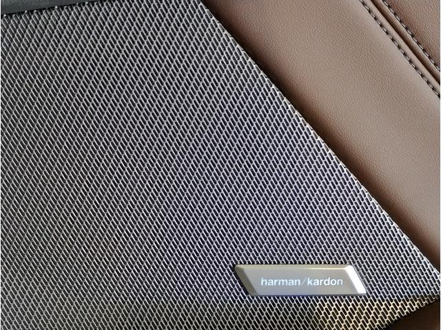 1シリーズ 120d ハイラインパッケージ 弊社元デモカー 1オーナー harman/kardon ヘッドアップディスプレイ 全周囲カメラ モカレザー 衝突軽減ブレーキ 追従式クルーズコントロール 電動リアゲート ハイラインパッケージ(45枚目)