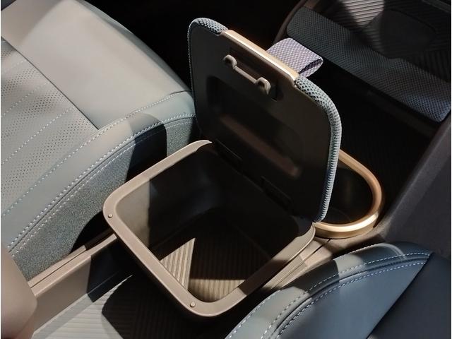 ＭＩＮＩ カントリーマンＳオール４　フェイバリット・トリム　デモレンタ　ワンオーナー　Ｍパッケージ　フェイバリットトリム　ハーマンカードン　電動シート　電動テールゲート　１９インチＡＷ　全周囲カメラ　障害物センサー　追従式クルコン　ヘッドアップディスプレイ（55枚目）