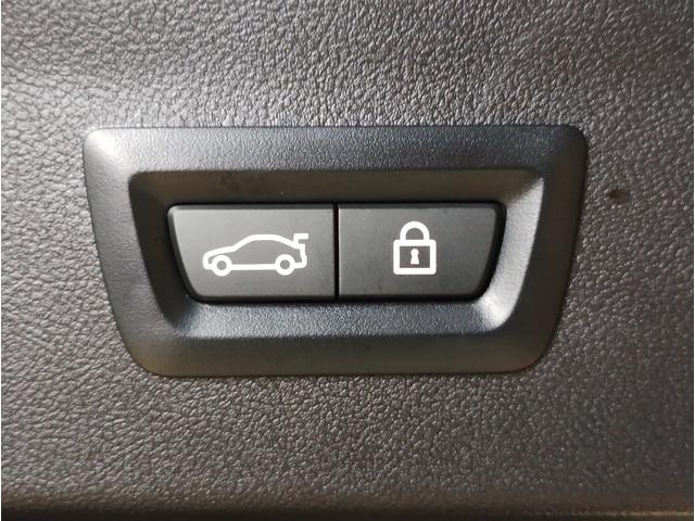 X4 xDrive 20d Mスポーツ 後期モデル ワンオーナー 全周囲カメラ 障害物センサー 追従式クルーズコントロール ヘッドアップディスプレイ LEDヘッドライト ブラックレザー シートヒーター 電動シート 電動テールゲート ETC(23枚目)