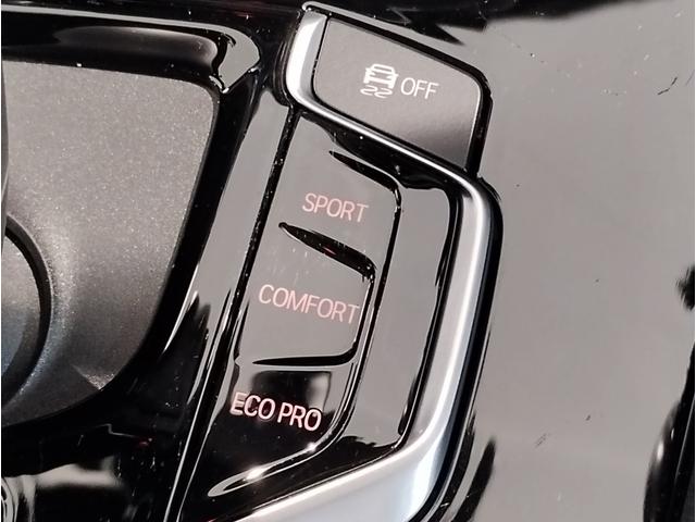 X3 xDrive 20d Mスポーツハイラインパッケージ 1オーナー ハイラインパッケージ 20インチAW ヘッドアップディスプレイ 全周囲カメラ 地デジ ブラックレザー 前後シートヒーター 追従式クルーズコントロール 衝突軽減ブレーキ アンビエントライト(48枚目)