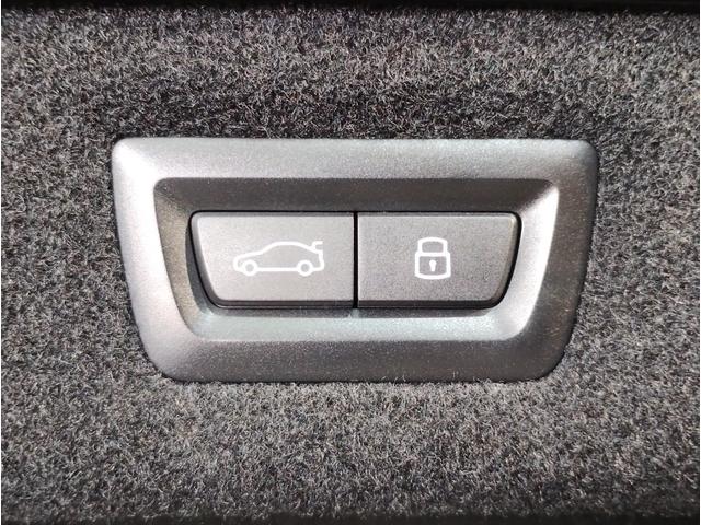 8シリーズ 840dxDriveグランクーペエクスクルシブMスポ サンルーフ フィオナレッドメリノレザー クリスタルシフト レーザーライト harman/kardon 全周囲カメラ ソフトクローズ 地デジ 20インチAW 前後シートヒーター シートベンチレーション(31枚目)