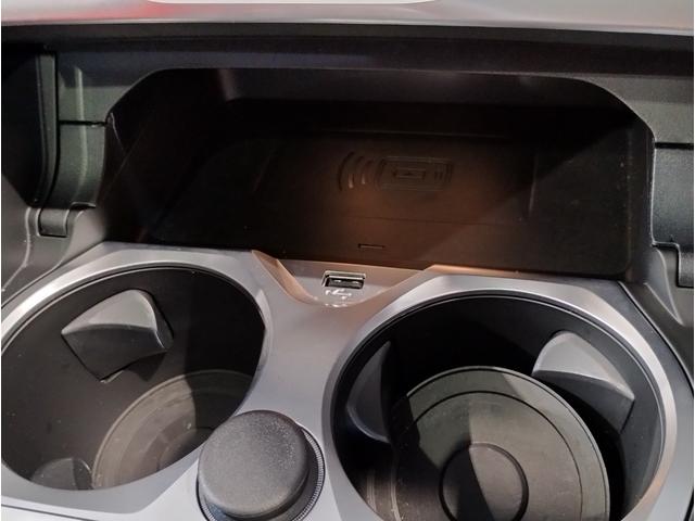 8シリーズ 840dxDriveグランクーペエクスクルシブMスポ サンルーフ フィオナレッドメリノレザー クリスタルシフト レーザーライト harman/kardon 全周囲カメラ ソフトクローズ 地デジ 20インチAW 前後シートヒーター シートベンチレーション(57枚目)