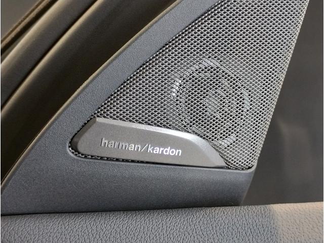 Ｘ４ Ｍ コンペティション　５１０馬力　ＭドライバーズＰ　カーボンインテリア　Ｍブレーキ　ハーマンカードン　ブラックレザー　シートヒーター　ベンチレーションシート　ＬＥＤヘッドライト　２１インチＡＷ　追従式クルコン　全周囲カメラ（54枚目）