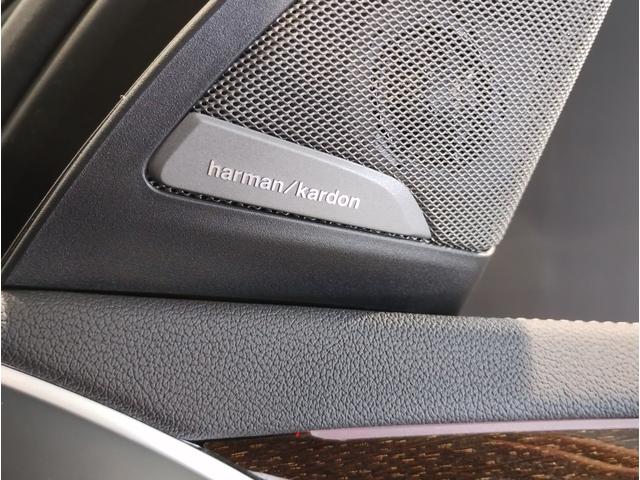 X3 M40d 後期モデル パノラマサンルーフ Mブレーキ Harmankardon モカレザー シートヒーター ハンドルヒーター リアアジャストメント 純正HDDナビ 全周囲 リアサイドローラー リア電動リアゲート(49枚目)