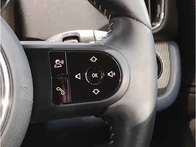 【サイドスカットル】サイドスカットルトリムやスモールサイドスカットルをつけて頂きオーナー様の特別な一台にしていただくことが可能です！！