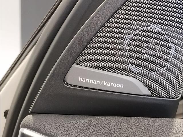 Ｘ３ ｘＤｒｉｖｅ　２０ｄ　Ｍスポーツ　パノラマサンルーフ・Ｈａｒｍａｎ／Ｋａｒｄｏｎスピーカー・オプション２０インチＡＷ・１オーナー・後期モデル・ヘッドアップディスプレイ地デジ・全周囲カメラ・オートトランク・レーンキープ・ＡＣＣ・黒レザー（41枚目）