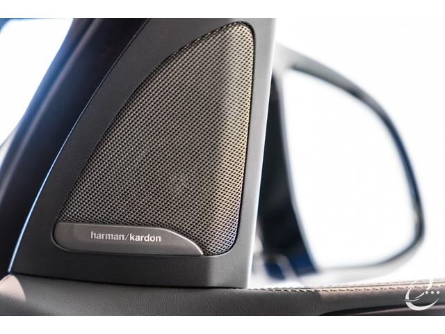 Ｘ７ Ｍ６０ｉ　ｘＤｒｉｖｅ　後期モデル　Ｍスポーツパッケージプロ　インテリアＭカーボンファイバートリム　２列目コンフォートシート（６人乗り）　スカイラウンジパノラマガラスサンルーフ　２３インチＩｎｄｉｖｉｄｕａｌホイール（40枚目）