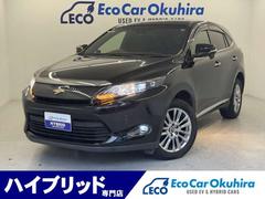 ʷ嶹Ԥ˥ϥ֥åɡŹץκ߸ĶȻ֣ 2