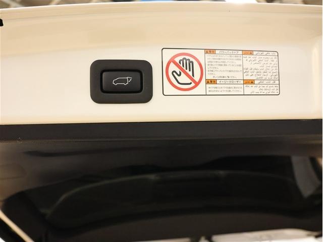エスティマハイブリッド アエラス　プレミアム－Ｇ　４ＷＤ　フルセグ　メモリーナビ　ＤＶＤ再生　後席モニター　バックカメラ　衝突被害軽減システム　ＥＴＣ　両側電動スライド　ＬＥＤヘッドランプ　乗車定員７人　３列シート（31枚目）