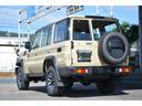 ランドクルーザー70 AX Bカメラ LEDヘッドライト 禁煙車 クルーズコントロール 電動デフロック 丸目LEDヘッドライト 純正16インチアルミホイール オートハイビーム トヨタセーフティセンス アルミ製サイドステップ(6枚目)