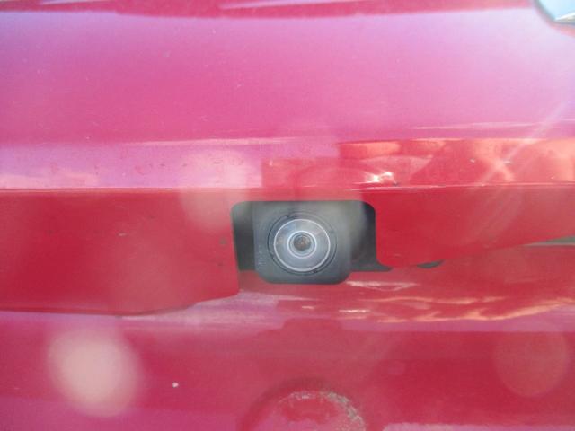 �P�C�X�}�C���̍݌Ɏ��q�������������肪�Ƃ��������܂��I���T���͓��X�ւ��Ԃ����ɗ��܂��񂩁H�X�^�b�t�ꓯ�S��肨�҂����Ă���܂��I