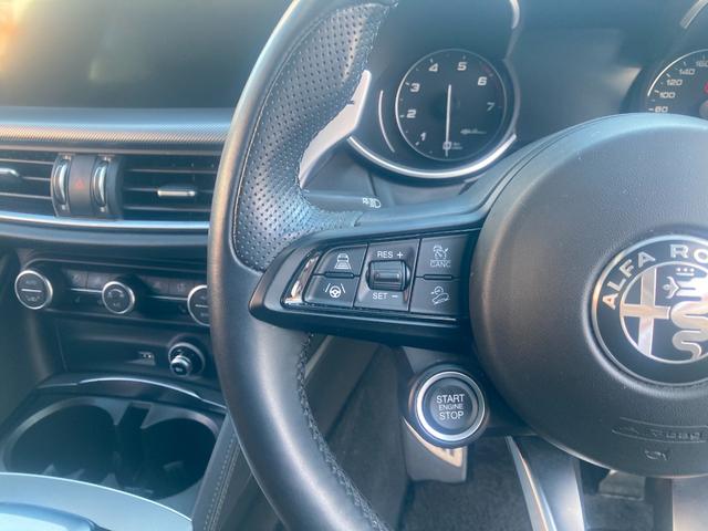 ステルヴィオ 2.0ターボ Q4スポーツパッケージ 黒革シート/シートヒーター/パワーシート ステアリングヒーター 20インチAW 純正ナビ/Bluetooth/フルセグ/Bカメラ/Applecarplay ハーマンカードン レッドキャリパー(49枚目)