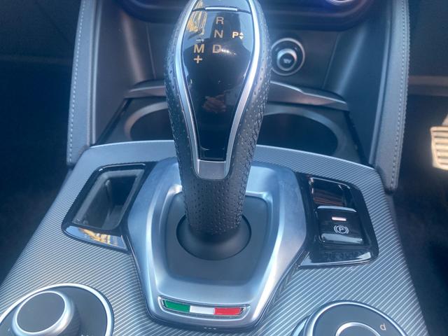 ステルヴィオ 2.0ターボ Q4スポーツパッケージ 黒革シート/シートヒーター/パワーシート ステアリングヒーター 20インチAW 純正ナビ/Bluetooth/フルセグ/Bカメラ/Applecarplay ハーマンカードン レッドキャリパー(59枚目)