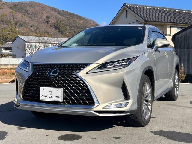 ＲＸ ＲＸ３００　バージョンＬ　・黒革シート・ムーンルーフ・純正ナビ・全方位バックモニター・ＴＶフルセグ・シートエアコン・ＬＥＤヘッドライト・雹害車両（2枚目）