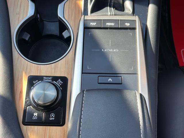 ＲＸ ＲＸ３００　バージョンＬ　・黒革シート・ムーンルーフ・純正ナビ・全方位バックモニター・ＴＶフルセグ・シートエアコン・ＬＥＤヘッドライト・雹害車両（20枚目）