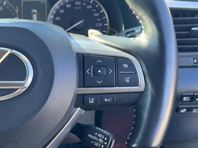 ＲＸ ＲＸ３００　バージョンＬ　・黒革シート・ムーンルーフ・純正ナビ・全方位バックモニター・ＴＶフルセグ・シートエアコン・ＬＥＤヘッドライト・雹害車両（24枚目）