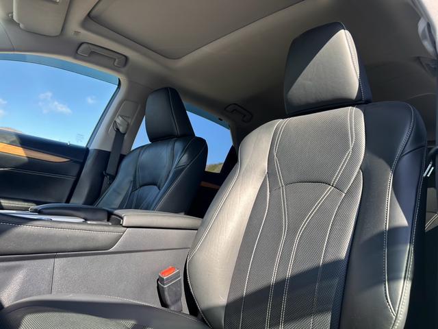 ＲＸ ＲＸ３００　バージョンＬ　・黒革シート・ムーンルーフ・純正ナビ・全方位バックモニター・ＴＶフルセグ・シートエアコン・ＬＥＤヘッドライト・雹害車両（49枚目）