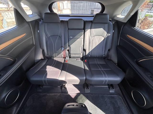 ＲＸ ＲＸ３００　バージョンＬ　・黒革シート・ムーンルーフ・純正ナビ・全方位バックモニター・ＴＶフルセグ・シートエアコン・ＬＥＤヘッドライト・雹害車両（50枚目）