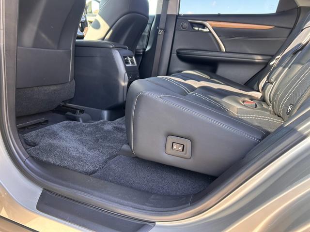 ＲＸ ＲＸ３００　バージョンＬ　・黒革シート・ムーンルーフ・純正ナビ・全方位バックモニター・ＴＶフルセグ・シートエアコン・ＬＥＤヘッドライト・雹害車両（51枚目）