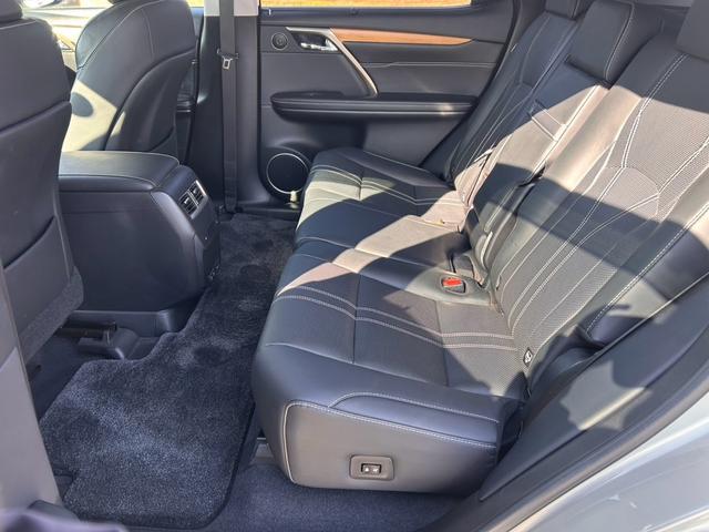 ＲＸ ＲＸ３００　バージョンＬ　・黒革シート・ムーンルーフ・純正ナビ・全方位バックモニター・ＴＶフルセグ・シートエアコン・ＬＥＤヘッドライト・雹害車両（52枚目）