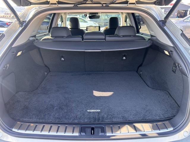 ＲＸ ＲＸ３００　バージョンＬ　・黒革シート・ムーンルーフ・純正ナビ・全方位バックモニター・ＴＶフルセグ・シートエアコン・ＬＥＤヘッドライト・雹害車両（56枚目）