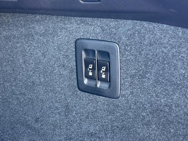 ＲＸ ＲＸ３００　バージョンＬ　・黒革シート・ムーンルーフ・純正ナビ・全方位バックモニター・ＴＶフルセグ・シートエアコン・ＬＥＤヘッドライト・雹害車両（58枚目）