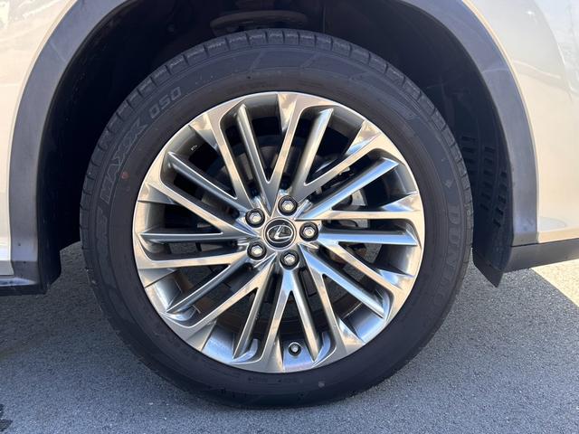 ＲＸ ＲＸ３００　バージョンＬ　・黒革シート・ムーンルーフ・純正ナビ・全方位バックモニター・ＴＶフルセグ・シートエアコン・ＬＥＤヘッドライト・雹害車両（66枚目）