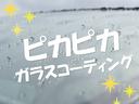 カスタム Xリミテッド SA ・衝突軽減ブレーキ・純正ナビ・TV・バックモニター・ドライブレコーダー・ETC車載器・LEDヘッドライト・スマートキー・プッシュスタート(59枚目)