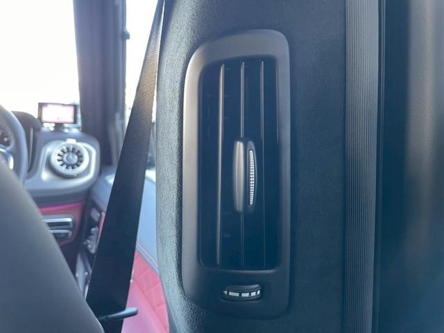 Ｇクラス Ｇ６３　マヌファクトゥーアＰＧ・プラバスフロントリップ・背面タイヤ有り（59枚目）