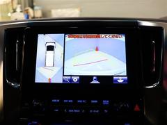 ����ե����� �������ӡ��åѥå��������ե륻�������꡼�ʥӡ��ģ֣ĺ��� 0701461A20260108T001 6