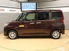 �롼�ߡ� �ǡ��ե륻�������꡼�ʥӡ��ģ֣ĺ������Хå������ 0701461A20260114T001 3