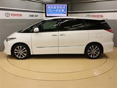 �����ƥ��� �����饹���ץ�ߥ��ࡡ�ե륻�������꡼�ʥӡ��ģ֣ĺ��� 0701461A20260215T003 3