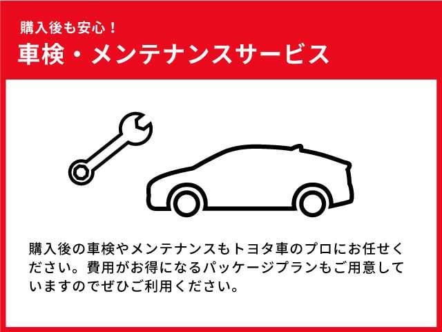 タント カスタムＲＳセレクション　衝突軽減Ｂ　スマートキー＆プッシュスタート　地デジ　クルコン　キーフリー　オートエアコン　ＬＥＤヘッド　Ｂカメラ　ＥＴＣ　セキュリティーアラーム　アイドリングストップ　ドラレコ　ナビＴＶ　パワステ（51枚目）