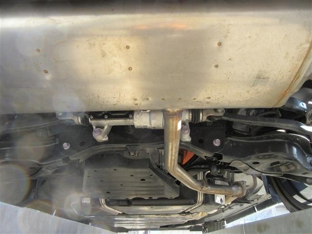 �ԑ̂̉����ł�