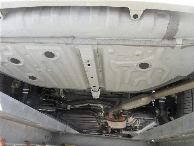 �ԑ̂̉����ł�