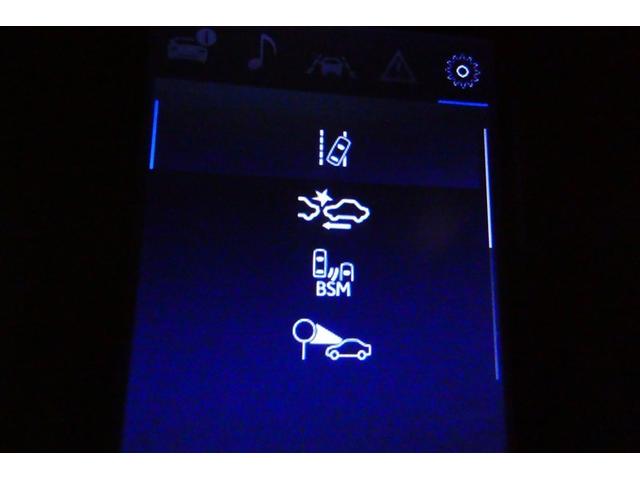 �X�s�[�h���[�^�[���̃f�B�X�v���C���Ɉ��S�����̐ݒ��Ԃ��\������܂��B