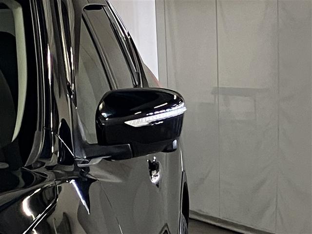 ���E�̃h�A�~���[�ɕ����w�������t���Ă��܂��B