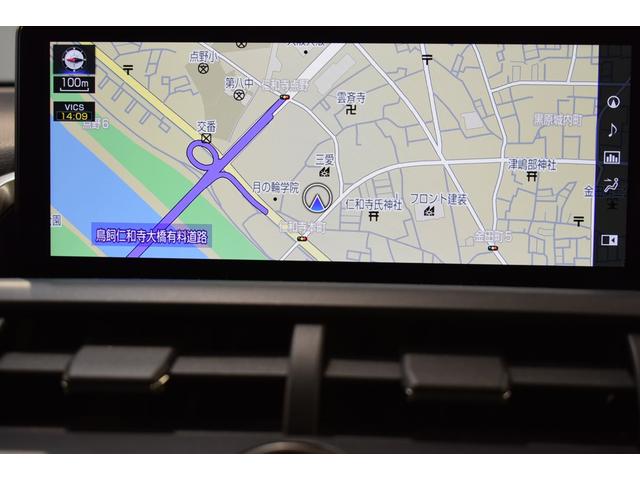 NX300 バージョンL サンルーフ BSM 黒革シート(18枚目)