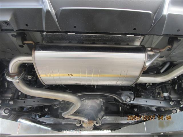 �K�╅�H���Ȃ����ꂢ�ȏ�Ԃł��B�܂��܂����S���Ă���肢�������܂��B